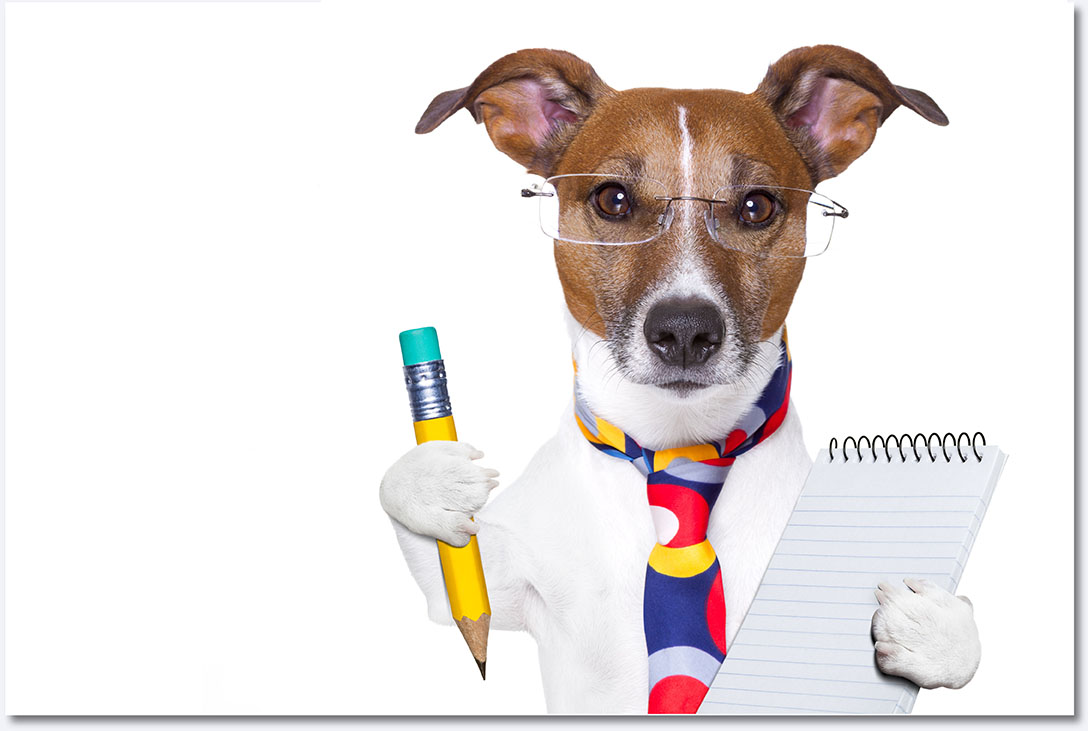 Signup Assistant Signup dog